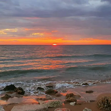 度假居 Casa Con Jardin Privado En Primera Linea De Playa *