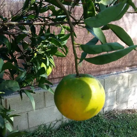 بيت للعطل Casa Con Jardin Privado En Primera Linea De Playa *